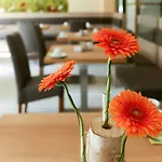 Hotel Garni Grundmuehle Bad Schandau